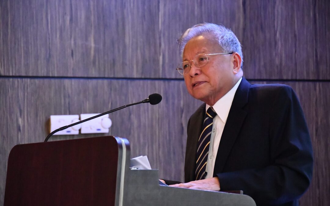 Retired Chief Justice Puno: “Courts Should Extend Effective Judicial Protection”