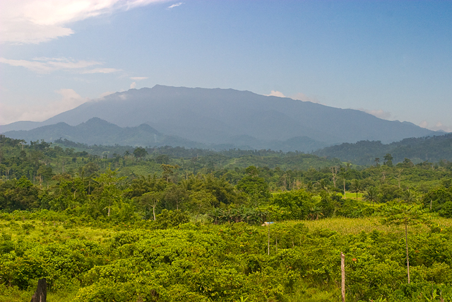 Supreme Court Issues Writ of Kalikasan Against DENR and Mining Operators in Mt. Mantalingahan, Palawan